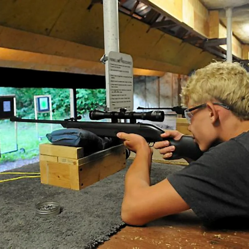 buying firearms online