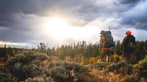 hunting laws and ammunition regulations