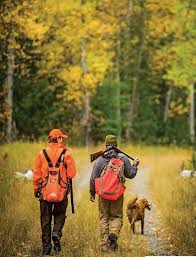 hunting rifle and gear guide 2026