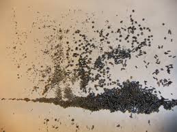 best smokeless powders for upland game hunting